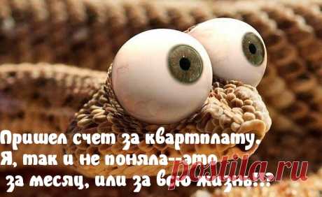 Картинки с надписями "Прикольные" (2270 шт.)