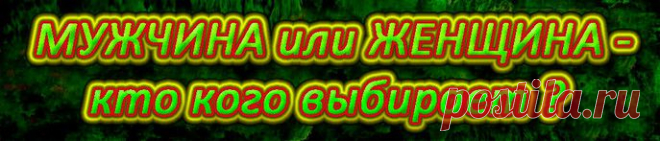 Мужчина или женщина - кто кого выбирает?

Любые активные действия женщины, направленные на преобразование внешнего мира,

можно считать отклонением от истинной женской сути.

http://t.co/Vo3hguYELh