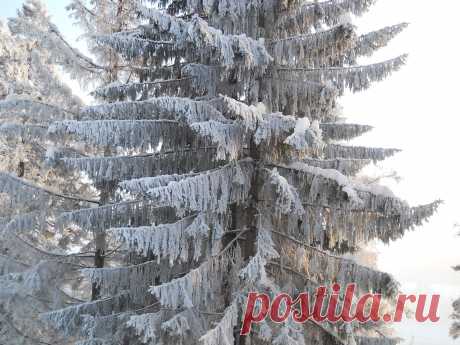 мир - 51 фото. Фотографии Сергей Мартынов.