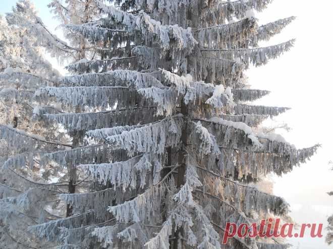 мир - 51 фото. Фотографии Сергей Мартынов.