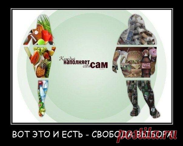 А по сути та, атомы не куда не деваются, и мы есть то, что мы едим