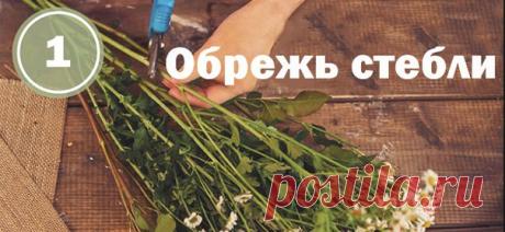 Как максимально продлить жизнь срезанным цветам: практичные советы