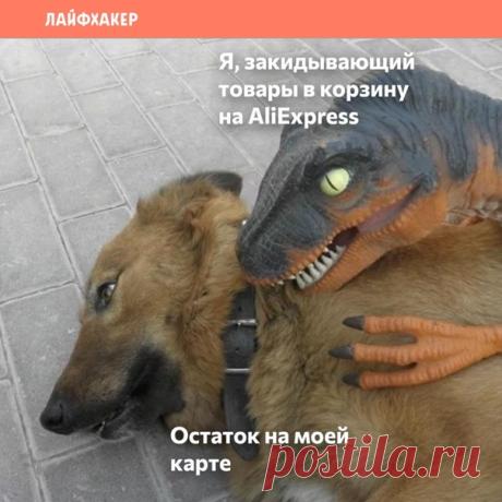 Самые полезные и интересные товары на AliExpress теперь собраны в одном канале. Каждый день публикуем свежие подборки со смартфонами, одеждой, бытовой техникой, книгами, бьюти гаджетами, товарами для дома и ремонта, занятий спортом и работы. Подписывайтесь, чтобы экономить на шопинге, ни в чём себе не отказывая: