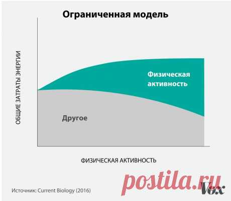 🎀 Онлайн калькулятор расчета калорий для похудения. IIFYM калькулятор. Гибкая диета - Женский журнал NeoLove.RU