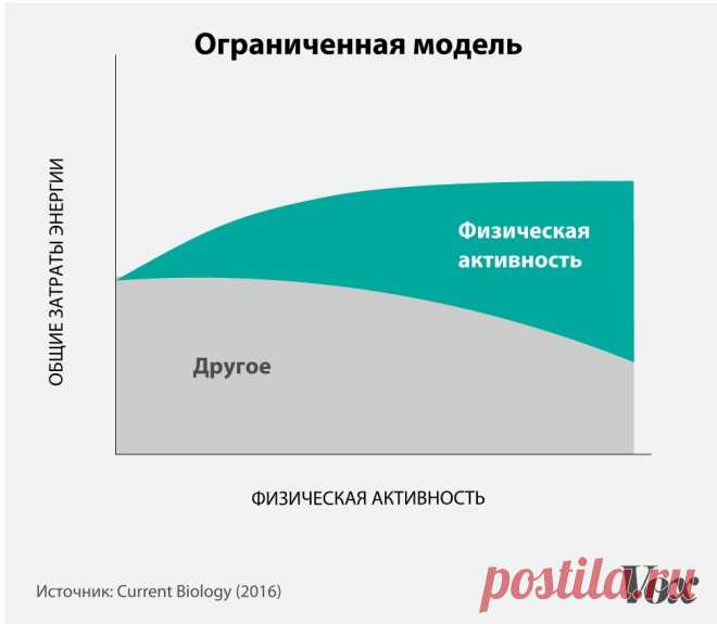 🎀 Онлайн калькулятор расчета калорий для похудения. IIFYM калькулятор. Гибкая диета - Женский журнал NeoLove.RU