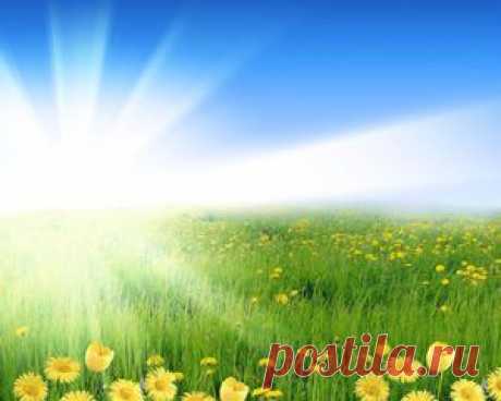 Собирание изначальной карты пути (11.10.2015) - Latuya - Absolutera.ru