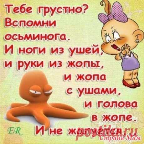 Пятницо-позитив - Жаккард - Страна Мам