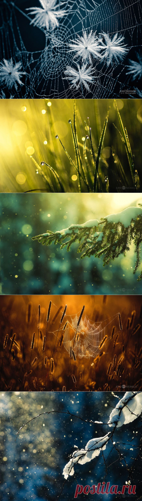 Очарование природы в фотографиях Джони Ниемела / Joni Niemela | Newpix.ru - позитивный интернет-журнал