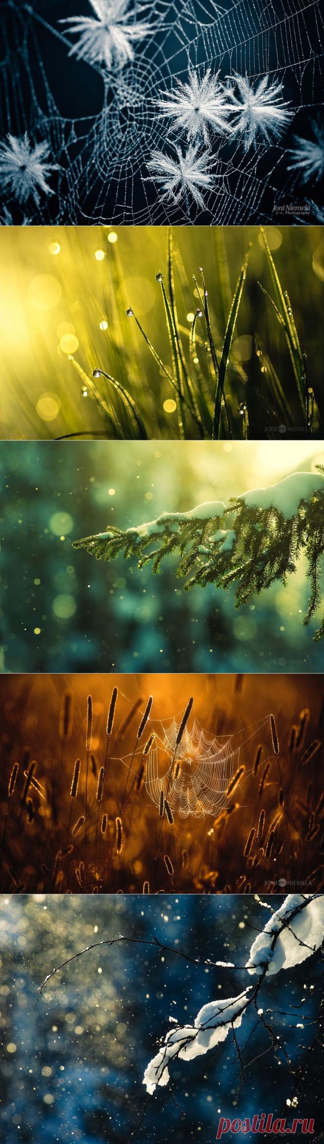 Очарование природы в фотографиях Джони Ниемела / Joni Niemela | Newpix.ru - позитивный интернет-журнал