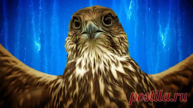 Разбираем тему: Откуда пошло выражение «Гол, как сокол»? Статья автора «VestiNews. Люди, события, факты» в Дзене ✍: Выражение 