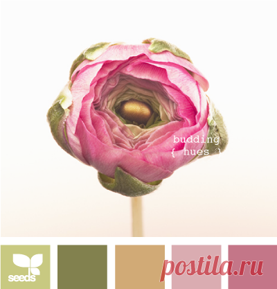 Цветы, деревья — источник вдохновения! | BepHuK собирает друзей