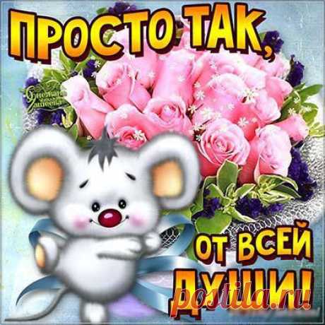 весёлые картинки для поднятия настроения – Google Поиск