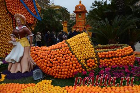 Фестиваль цитрусовых в столице лимонов Ментоне

Среди самых необычных праздников мира особое место занимает фестиваль лимонов в Ментоне, проходящий на берегу французской Ривьеры во второй половине февраля. На этот удивительный праздник собираются десятки тысяч французов и иностранных гостей. На средиземноморском побережье Франции лимонный фестиваль немного уступает по популярности разве что только знаменитому карнавалу в Ницце и гонкам «Формулы-1» в Монако.