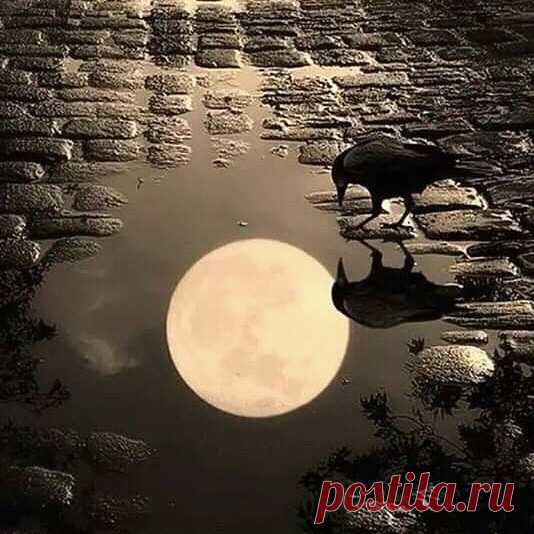 Гороскоп на 21 марта 2019 года - ВОмске