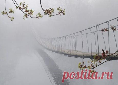 Галина Обухова добавила фотографию в альбом МУДРЫЕ МЫСЛИ