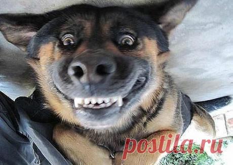 Депрессию надо встречать с улыбкой! Она подумает, что ты идиотка и сбежит!!!