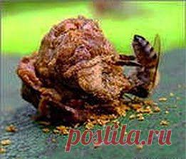 Прополис гайморит прогонит | Друг пенсионера
У меня есть одна груст­ная история, которую я хо­тел бы рассказать. Впрочем, у нее счастливый конец. И я рад, что все так закончилось. Итак, пять лет назад я заболел гай­моритом.