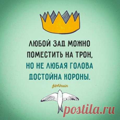 Фитнес для мозга - Хроника