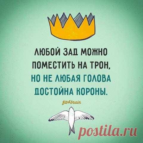 Фитнес для мозга - Хроника