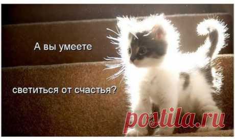 (64) Одноклассники