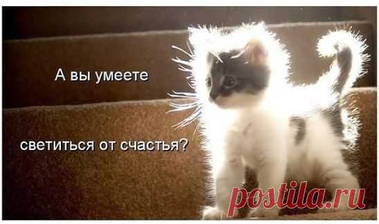 (64) Одноклассники