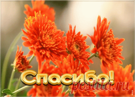 Открытка спасибо большое