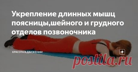 Укрепление длинных мышц поясницы,шейного и грудного отделов позвоночника