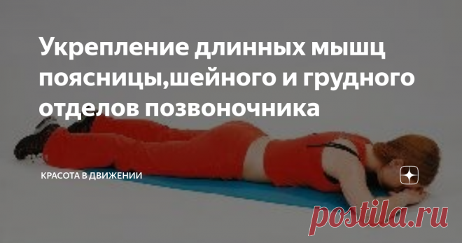 Укрепление длинных мышц поясницы,шейного и грудного отделов позвоночника
