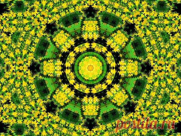 Digital Patterned Ornament  Free Stock Photo HD - Public Domain Pictures