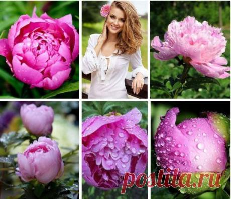 Желаю я своим друзьям,
Здоровья крепкого с добавкой.
Чтоб негатив сидел под лавкой,
А не слонялся по углам!
Желаю счастья им сполна,
И чтоб они не забывали.
Ни вкус хорошего вина,
Ни что любовь была вначале!
Чтоб дом их полной чашей был,
И чтоб та чаша не пустела.
Чтоб каждый в жизни находил,
Лишь позитивы, то и дело!
Чтоб судьбы внуков и детей,
Не огорчали ни на йоту.
Чтоб ощущали Вы сильней,
Любовь их, ласку и заботу!
Пускай находят Вас друзья,
В бездонном море интернета.
Тог