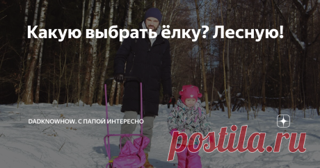 Какую выбрать ёлку? Лесную! Задались мы вопросом: выбрать живую или искусственную ёлку? Мы, в целом...