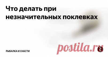 Что делать при незначительных поклевках Вносить изменения в поводки для фидера требуется даже при наличии поклевок рыбы. Одной из распространенных причин неправильно выбранной длины являются незаметные поклевки. Здесь можно выделить два варианта.
Когда поклевка не видна, а при извлечении оснастки из воды для «перезарядки» на крючке оказывается рыба, то лучше сделать более укороченную версию поводка. Значит, рыба длительное время пробует