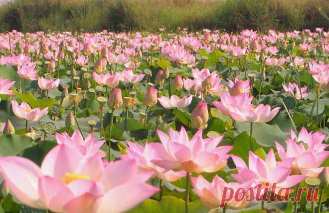 Редактировать описание