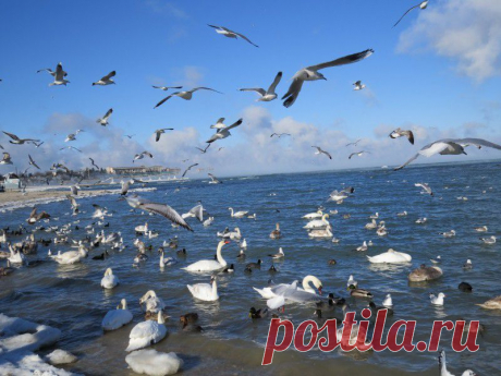 В Севастополе частично замерзла бухта «Омега» - Наука и жизнь