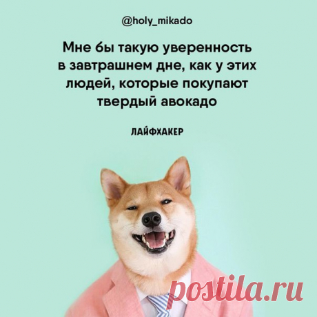 Как правильно выбрать авокадо: