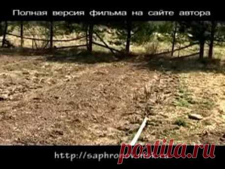 02  Огород в родовом поместье (морковь лук)