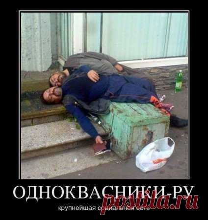 Original: http://cs540100.vk.me/v540100867/13162/QrJ8dgVMLgM.jpg