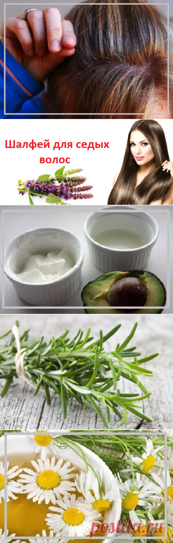 Как избавиться от седых волос и обойтись без покупной краски | моя записная книжка | Яндекс Дзен