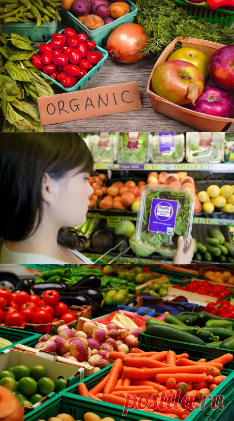 Как выбрать органические продукты в магазине