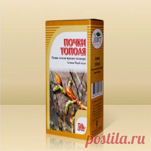 Семь рецептов от аденомы | Друг пенсионера
Несколько лет назад со мной про­изошел случай, о котором хочу рассказать. Я проходил медос­мотр, оформлялся в загранкомандиров­ку. Поскольку никогда на здоровье не жаловался, то и не переживал.