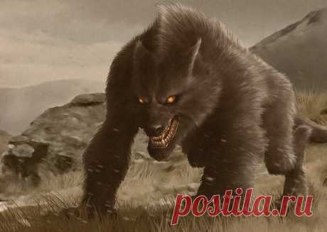 Оборотень - Werewolf - чудовище существующее во многих мифологических системах. Подразумевается человек умеющий превращаться в животных либо наоборот. Животное умеющее обращаться в людей. Таким умением часто обладают демоны, божества и духи. Классическим же оборотнем считается волк. Именно с ним связывают все ассоциации рождаемые словом оборотень. Это изменение может произойти как пожеланию оборотня, так и непроизвольно, вызванное, например, определенными лунными циклами .