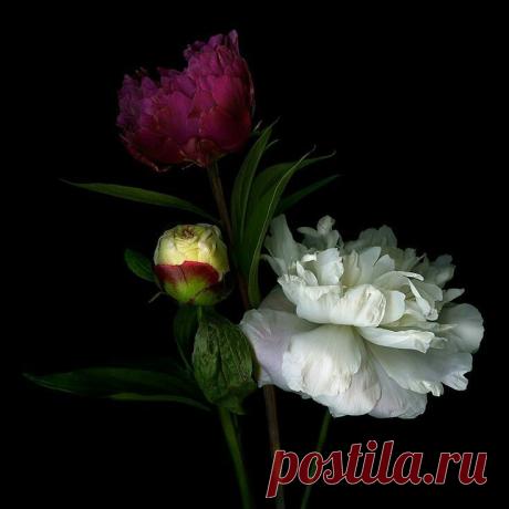 (4) Мой Мир@Mail.Ru