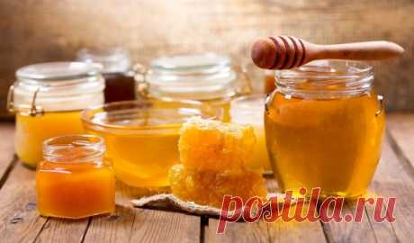 Чем полезны продукты пчеловодства: мед, перга, прополис, забрус, маточное молочко | Полезно (Огород.ru)