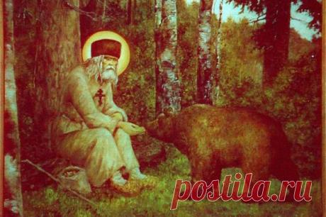 Пей там, где конь пьет