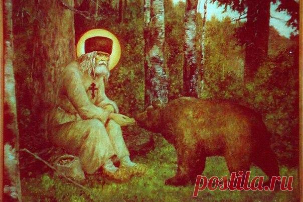 Пей там, где конь пьет