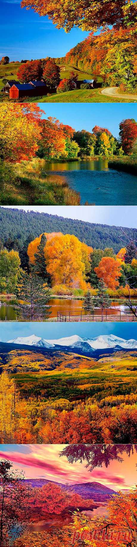 Осенняя природа картинки (47 фото) видео