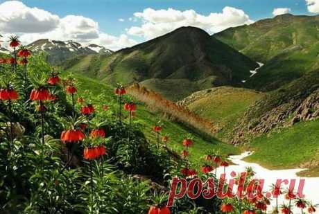 Մնձուրի լեռները

Լեռնաշղթա Տավրոսյան լեռնահամակարգ
Մնձուր, Մեզուր, Մերջան-Մեզուր, Մենձուր, Մզուր, Մընձուր, Մյուզիր, Մնզուր, Մոնզուր, Մուզուր, Մունզուր, Մունձուր, լեռնաշղթա Հայկական լեռնաշխարհում՝ Ներքին Տավրոսի արևմտյան՝ առավել բարձր մասը

🌷Մնձուրի լեռների կակաչները։ 🌷