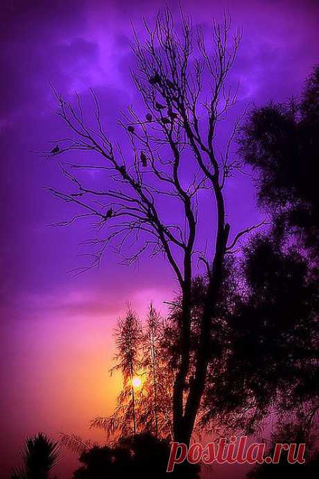 Sunset | Sunrise &amp; Sunset