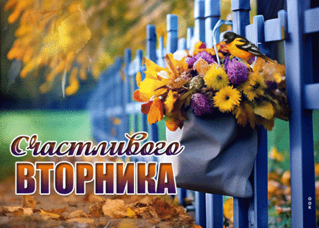 Торжественная гиф-открытка, счастливого вторника