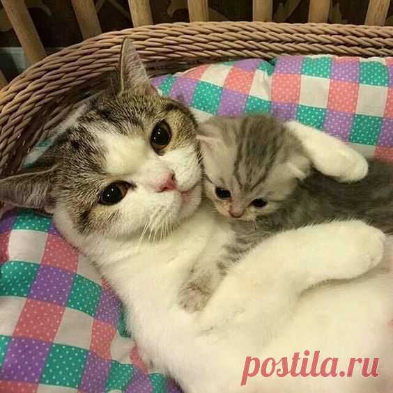 Pinterest